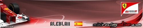 Firma alebla11