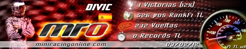 Firma divic
