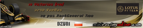 Firma dzuni