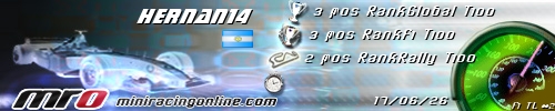 Firma Hernan14