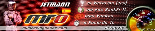 Firma jetman11