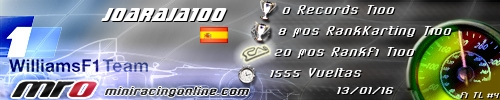 Firma JOARAJA100