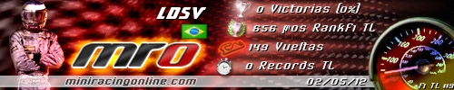 Firma LDSV