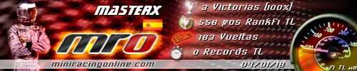 Firma masterx