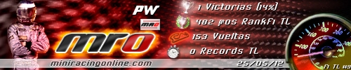 Firma PW
