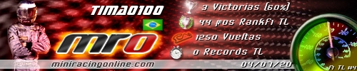 Firma timao100