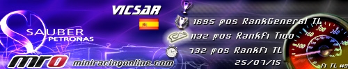 Firma vicsar