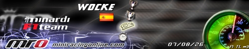 Firma wocke