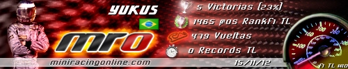 Firma yukus